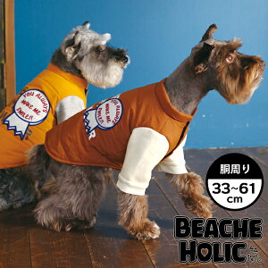  ̕ ybg p hbOEFA  킢  H ~ g ^ ^ BEACHE HOLIC r[`FzbN d˒ȃWPbg