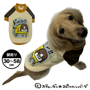 BEACHE HOLIC×XeB[Xsno[O ̉g[i[  ̕ ybg p hbOEFA  킢 H ~ g ^ ^