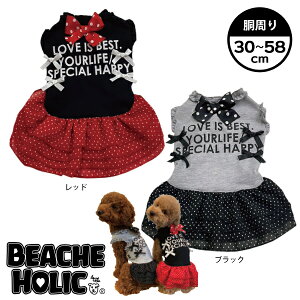  ̕ ybg p hbOEFA  킢 t ĕ ^ ^ BEACHE HOLIC r[`FzbN ڂ񂢂ςs