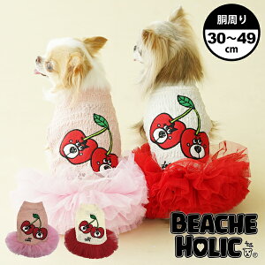  ̕ ybg p hbOEFA  킢 t ĕ 2023NtĐV ^ ^ BEACHE HOLIC ڃs[X