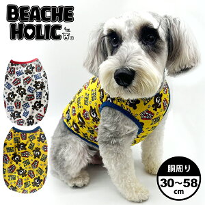 BEACHE HOLIC r[`FzbN |bvR[bV^N ^ ^  ̕ ybg p hbOEFA  킢 H ~ g