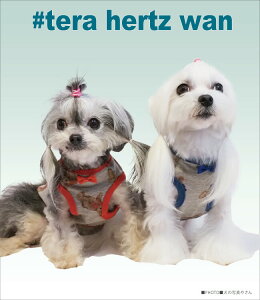 H~ hbOEFA ^Ngbv 킢 ܕ ^ ^ VjA 􂢉 tu ` _bNX N[N`[ ewc exA^N 2F  { g