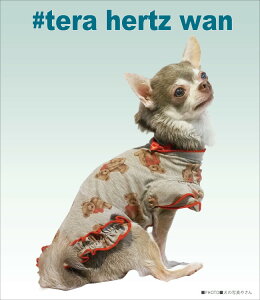 N[N`[ ewc exAts 2F  { g