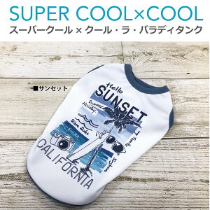   hbOEFA ^ ` _bNX^Ngbv 2024 ĕ   킢 h UVJbg f R LH { OK ( TZbg / r[` ) X[p[N[×N