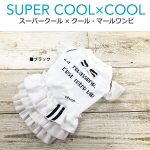   hbOEFA ^ 2024 ĕ   킢 tt h UVJbg f R LH s[X { OK ( bh / ubN ) X[p[N[×N[E}[