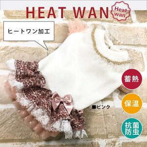   hbOEFA s[X ̎q  cC[hn `[ t RہEhH N[N`[ q[gEuWs