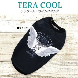 N[N`[ CooCouture 2025 ĕ V hbOEFA eN[EEBO^N  t  ^Ngbv ewc  ⊴ h R L UVJbg {