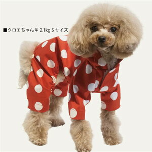 N[N`[ CooCouture V CR[g2025 pCR[g  t  ~J J̓ U Ȃ H EȒP }WbNe[v {