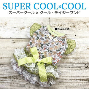 N[N`[ CooCouture 2025 ĕ V hbOEFA X[p[N[×N[EfCW[s  s[X t [X 킢  ⊴ h R L UVJbg bVn 