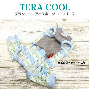 N[N`[ CooCouture 2025 ĕ V hbOEFA eN[N[EACX{[_[p[X  Ȃ wJ EȒP  ⊴ h R L UVJbg bVn ew