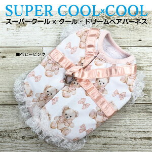 N[N`[ CooCouture 2025 ĕ V n[lX X[p[N[×N[Eh[xAn[lX p ց@t [X 킢  ⊴ h R L UVJbg bVn M