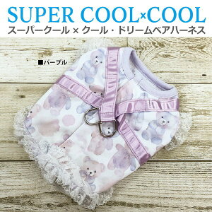 N[N`[ CooCouture 2025 ĕ V n[lX X[p[N[×N[Eh[xAn[lX p ց@t [X 킢  ⊴ h R L UVJbg bVn M