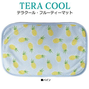 クークチュール CooCouture 2025 夏物 新作 マット テラクール・フルーティーマット 犬用 涼しい 冷感 防虫 抗菌 消臭 UVカット メッシュ生地 テラヘルツ 熱中症対策 日本製
