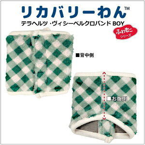 N[N`[ CooCouture 2025N[N`[H~V ewcEBV[xNeohBOY (j p  j̎qp }WbNe[v ewc {