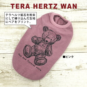 H~ ^Ngbv ^N hbOEFA 킢 ܕ ^ ^ VjA 􂢉 tu ` _bNX 2023N[N`[H~V ewcEBe[WxA 2F 1242