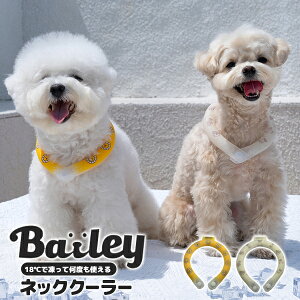 y30OFFzhbOACe ^ ^ t  Ђ ⊴ MǗ\h@h ( CG[ /zCg) gCv[h ` t`u _bNX Bailey xC[ N[lbN