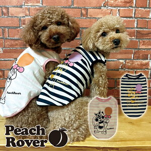  ̕ ybg p hbOEFA  킢 H ~ g ^ ^PeachRover s[`[o[ o[^N