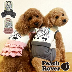 v`v  ̕ ybg hbOEFA  킢 @H~ I[C ^ ^ PeachRover s[`[o[ 2023NH~ jR[Ȃs[X