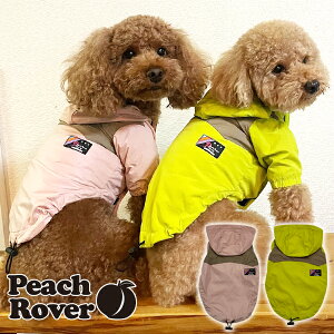 v`v  ̕ ybg hbOEFA  킢 @H~ EChu[J[ AE^[ ^ ^ PeachRover s[`[o[ 2023NH~ iCp[J[