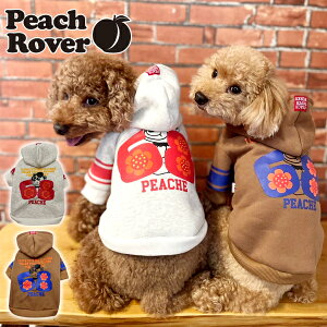 v`v  ̕ hbOEFA  킢 @H~ N ^ ^ PeachRover s[`[o[ 2025-2026NH~ s[`68p[J[