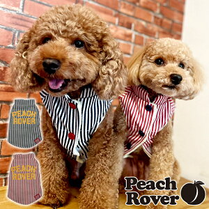 v`v  ̕ hbOEFA  킢 @H~ N ^ ^ PeachRover s[`[o[ 2025-2026NH~ fjXgCv_ExXg