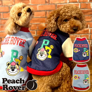 v`v  ̕ hbOEFA  킢  AE^[ ~ N h ^ ^ PeachRover s[`[o[ 2025-2026NH~ fjWPbg