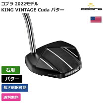 楽天市場】ゴルフクラブ us仕様の通販