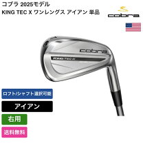 楽天市場】ltdx ワンレングス アイアン usの通販