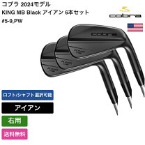 楽天市場】コブラ アイアンセット（ブランドコブラ）の通販