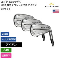 楽天市場】ワンレングスアイアン（ブランドコブラ）（ゴルフ｜スポーツ 