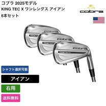 楽天市場】ltdx ワンレングス アイアン usの通販