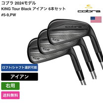 楽天市場】コブラ ゴルフクラブセットの通販