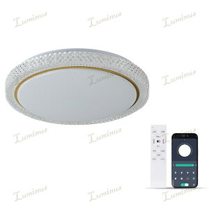 V[OCg led 4 6 8 10 12 14 Ɩ ؖ F ㉺  X}z/R VƖ Px 邢 CeA Cg ԐڏƖ 铔 ڂɗD ߓd 