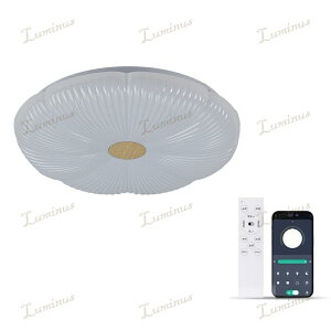 V[OCg led 4 6 8 10 12 14 Ɩ ؖ F ㉺  X}z/R VƖ Px 邢 CeA Cg ԐڏƖ 铔 ڂɗD ߓd 