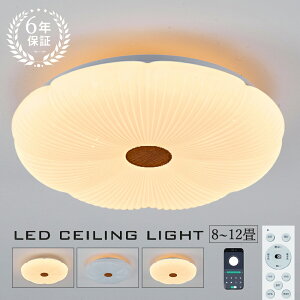 V[OCg led 4 6 8 10 12 14 Ɩ ؖ F ㉺  X}z/R VƖ Px 邢 CeA Cg ԐڏƖ 铔 ڂɗD ߓd 