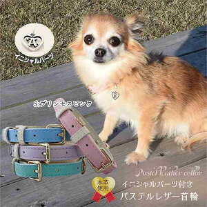   v  _炩 CjV `[ t 킢 U[ v pXeJ[ ^ ^p[v O[ u[ sN /pXeU[