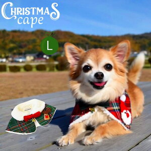   ~ T^ T^N[X P[v ybg  hbOEFA NX}X  H~  ₷ ~p gCv[h ^ _bNX ` /NX}XP[v