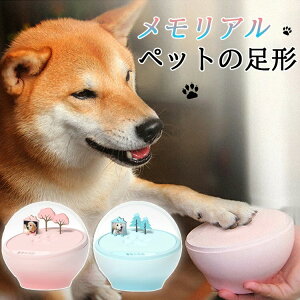 A ybg `  L  ˂ tHgt[^ OcY ʐ^  a v[g LOp Ԃ xr[p