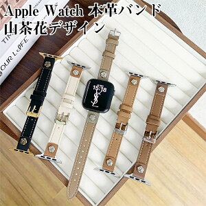 Apple Watch Ή {v v oh RԃfUC t ߋ ߎ TCY\ jp KȒSn S1`S10AUltraAUltra2ASEi1E2jɑΉ Mtg 