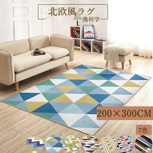 3.5 O O}bg ~ߕt 􂦂 J[ybg 200×300cm ` h_j hL Iׂ7F I[V[Y k O~ 􉽊w  킢 ې ܂݉\ rO[ xbh