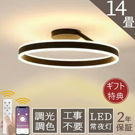 【ギフト特典放送】シーリングライト LED おしゃれ 調光調色 北欧 6畳 8畳 10畳 12畳 14畳 照明器具 省エネ シーリング照明 天井照明 リビング ダイニング 和室 洋室 シンプル 明るい カフェ リビング用 居間用 ダイニング用 間接照明