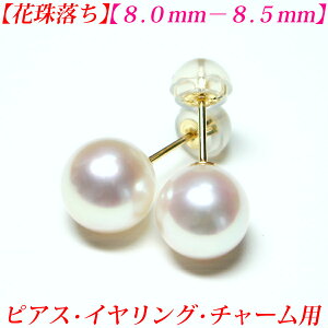 yԎ엎zyeԎ싉zýzy8ezAR^@sAX 8mm-8.5mm@^ sAX ^ CO ^ `[ ^@sAX AR^ CO p[ sAX ^