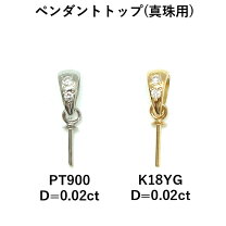 楽天市場】k18 バチカン パーツ（ペンダントトップ｜レディース  