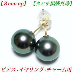 黒真珠 イヤリング ピアス ボディピアスの人気商品 通販 価格比較 価格 Com