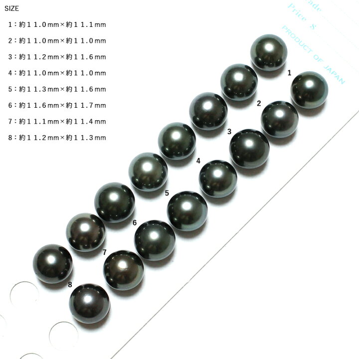 楽天市場】【第5弾】【卸直販】【ピーコック系】【花珠級】タヒチ黒蝶 