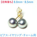 【テリ巻き花珠級】【花珠落ち】アコヤ真珠 ピアス 8mm-8.5mm 真珠　ピアス 真珠 イヤリング 真珠 チャーム あこや真珠 ピアス アコヤ真珠 イヤリング あこや真珠 グレー コバルト 真珠ピアス パールピアス メール便送料無料