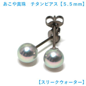 ýzy󂠂zy4ez ^sAX 5.5mm-6mm `^sAX O[@Rog AR^sAX p[sAX `^ ^ sAX p[ sAX X[NEH[^[ akoya