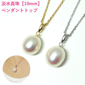 5e!!gbvNX̋ɏ̃e!! ýzW^@y_g@10mm@[X @^̂悤Ȕ@䂤pPbg @^@y_g@^@y_ggbv@p[