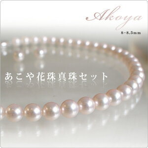 yI[Ԏz^8-8.5mm Ԏ2_Zbg ^Ȋw Ԏӕʏt  p[eB[