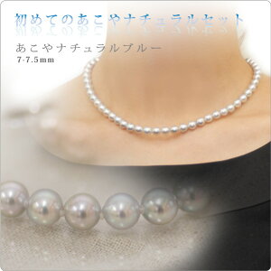 ^ p[ lbNX ؚ p[lbNX JWA ^  